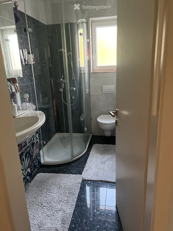 Charmante 2.5-Zimmer-Wohnung mit Seesicht und magischen Sonnenuntergängen 9