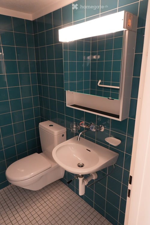 Charmante 3-Zimmer-Wohnung mit Balkon und schöner Aussicht in Basel 14