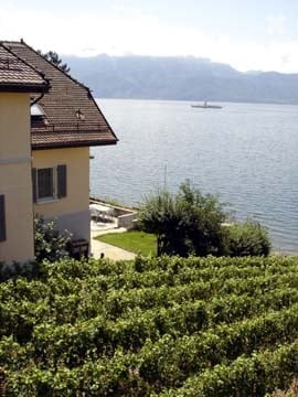 Villa au bord du lac à Villette – Cadre exceptionnel au cœur du Lavaux 5