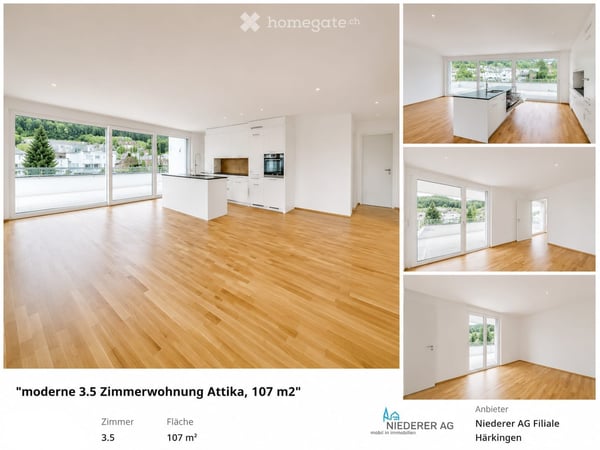 Traumhafte Attikawohnung mit zwei grosszügigen Terrassen und Burgsicht 2