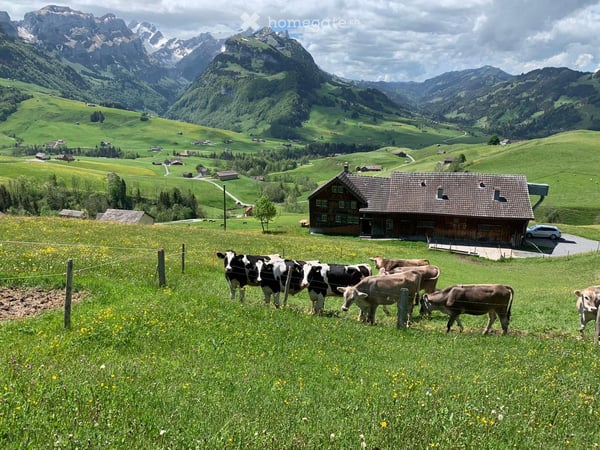 Wohnen wo andere Ferien machen – Traumhaftes 6.5‑Zimmer-Bauernhausteil 21