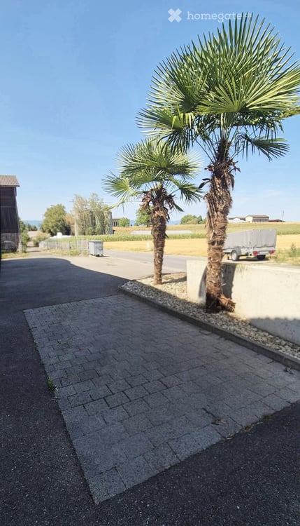 Appartement 4.5 pièces : lumineux - 2 places de parc extérieures incluses 16