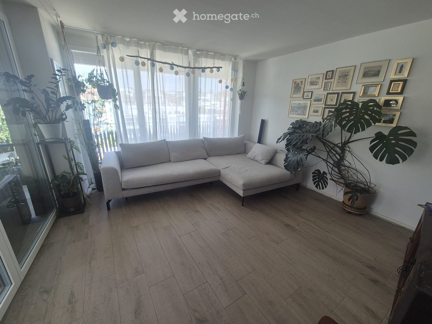 Modern living room with light-colored wooden flooring, a grey sectional sofa, large potted plants, and a wall decorated with framed pictures.