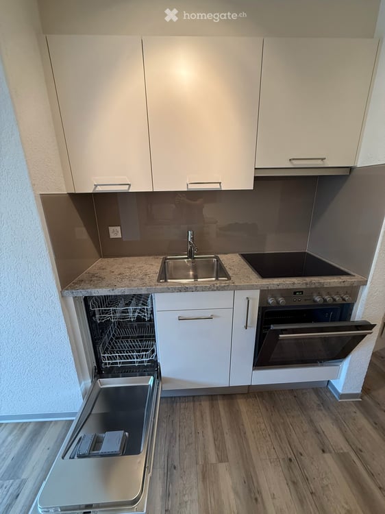 Moderne 2.5 Zimmer Wohnung mit Alpenpanorama und doppeltem Schlossblick 4