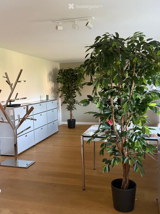 Charmante Wohnung in Doppeleinfamilienhaus in Gwatt (Thun) – Sofort verfügbar! 4