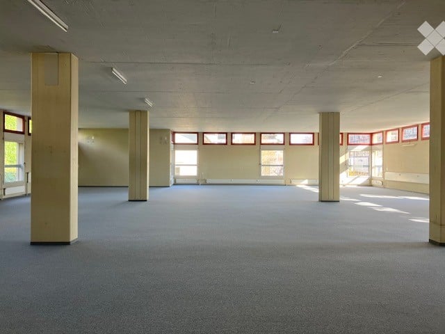 Empty room with carpeted floor, white walls, large windows, and pillars