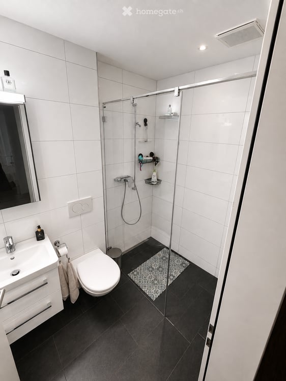 Moderne 4.5-Zimmer-Terrassenwohnung in Hildisrieden – Erstbezug ab Oktober 2026 9