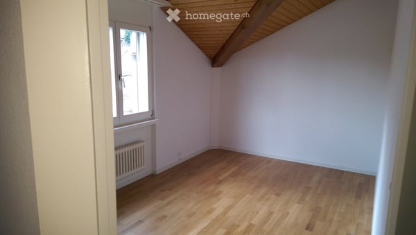 Sonniges Doppel-Einfamilienhaus, 2017 renoviert 13