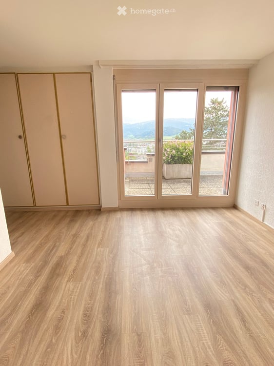 Attique d'exception 4.5 pces avec terrasse panoramique 360° 10