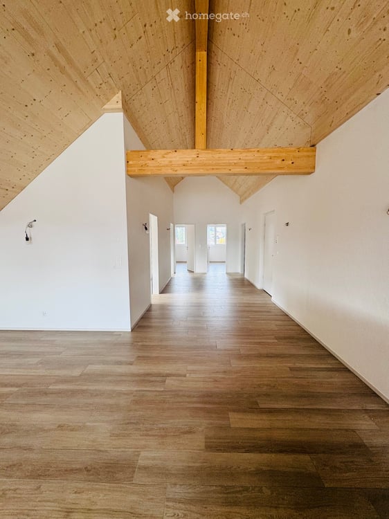 Hipp und MODERN - Grosszügig und charmant : deine neue Wohnung in St. Margrethen 5