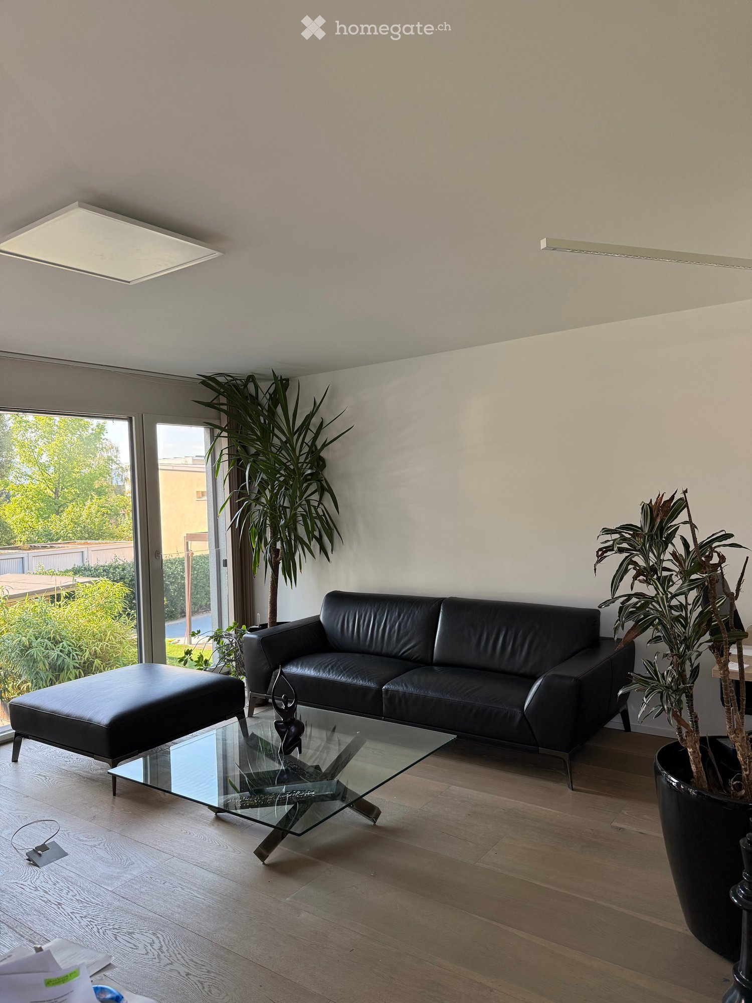 Modern living room with a black leather sofa, ottoman, glass coffee table, and large potted plants near large windows.