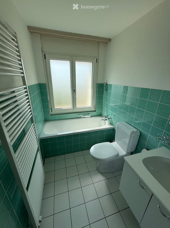 Wohnung in Flumenthal 2