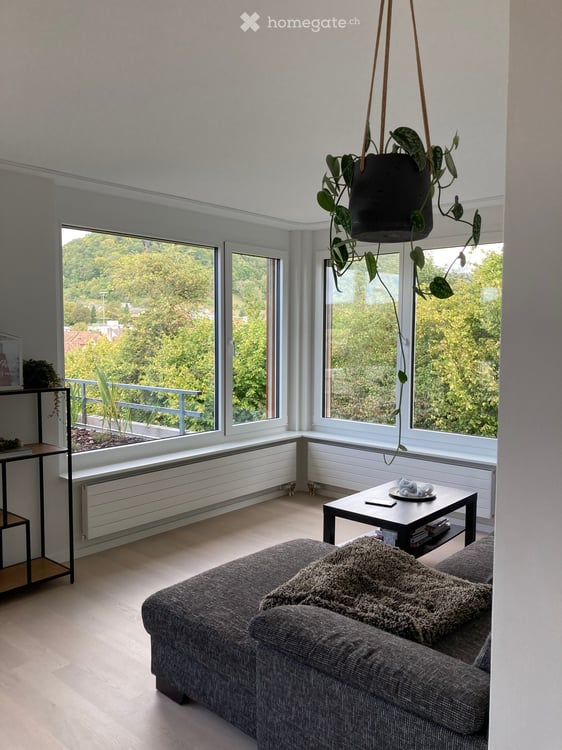 Charmantes 4.5-Zimmer-Terrassenhaus mit grossem Dachgarten in Beringen 3