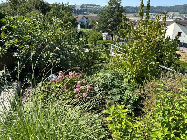 Charmantes 4.5-Zimmer-Terrassenhaus mit grossem Dachgarten in Beringen 11