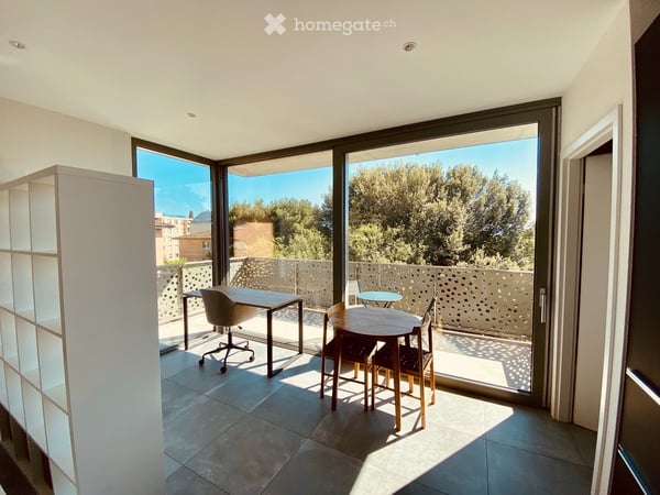 Grand studio moderne meublé avec superbe terrasse - 3ème étage - vue dégagée verdure et montagnes 3