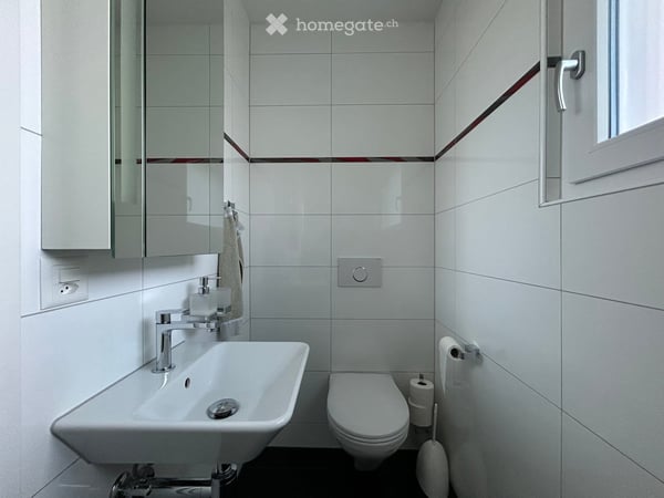 Modernes 5.5-Zimmer-Einfamilienhaus mit grossem Garten in Jegenstorf 7