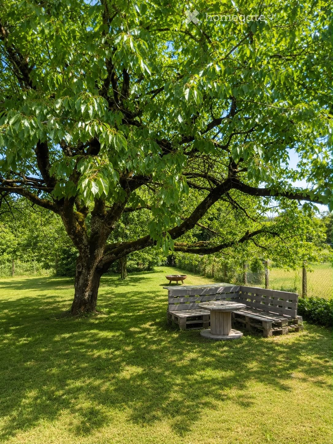 A serene garden area with a large tree providing shade, a wooden bench, a round table, and a small fire pit, surrounded by lush green grass and a fence in the background.