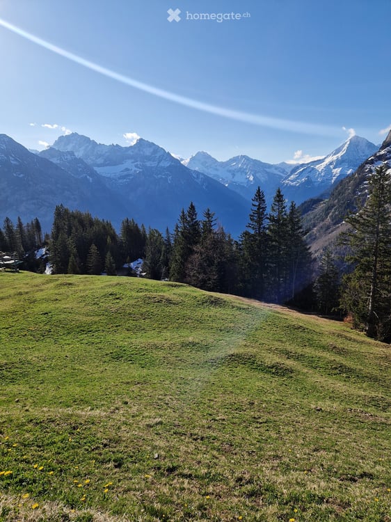 Exklusive Bauparzelle mit unverbaubarer Alpenpanorama-Aussicht auf Brüsti in Attinghausen (UR) 3