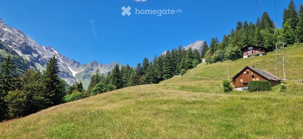 Exklusive Bauparzelle mit unverbaubarer Alpenpanorama-Aussicht auf Brüsti in Attinghausen (UR) 2