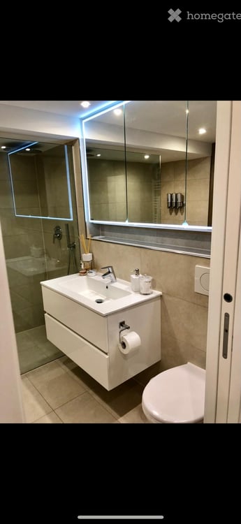 modernes 5-Zimmer-Reihenhaus am Waldrand in Zürich-Höngg - ruhig und stadtnah 12