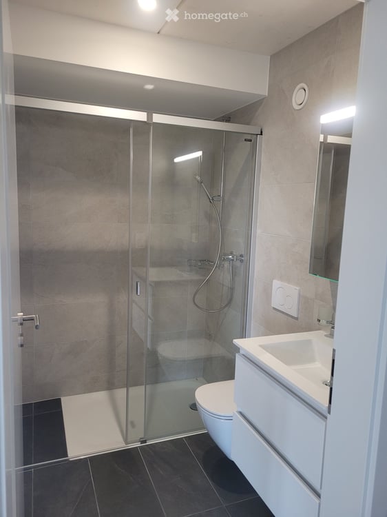 Appartement 4.5 pièces avec grande terrasse et jardin - Ecoquartier Le Verger 7