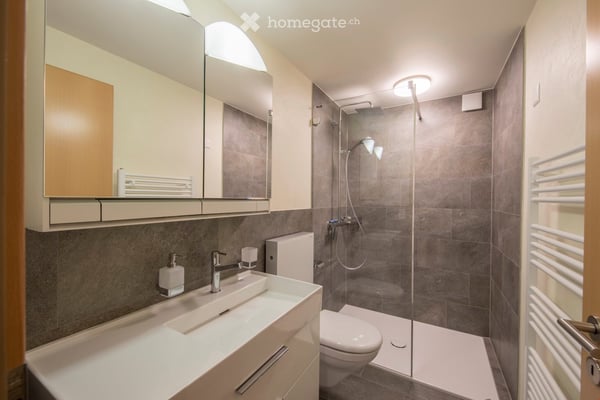 Moderne, sonnige 4.5 Zimmer Wohnung in Trachslau bei Einsiedeln 9