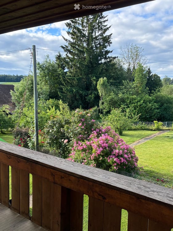 Charmante 2.5-Zimmer-Wohnung mit grossem Balkon im Grünen