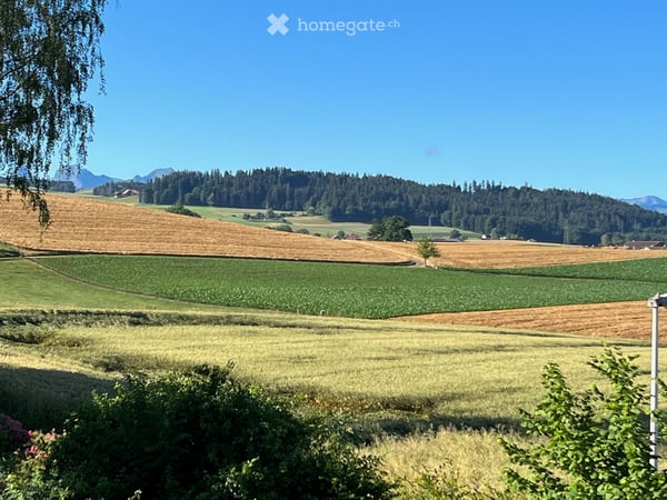 Traumhafte 5½-Zimmer-Gartenwohnung in Köniz bei Bern | Erstbezug 15