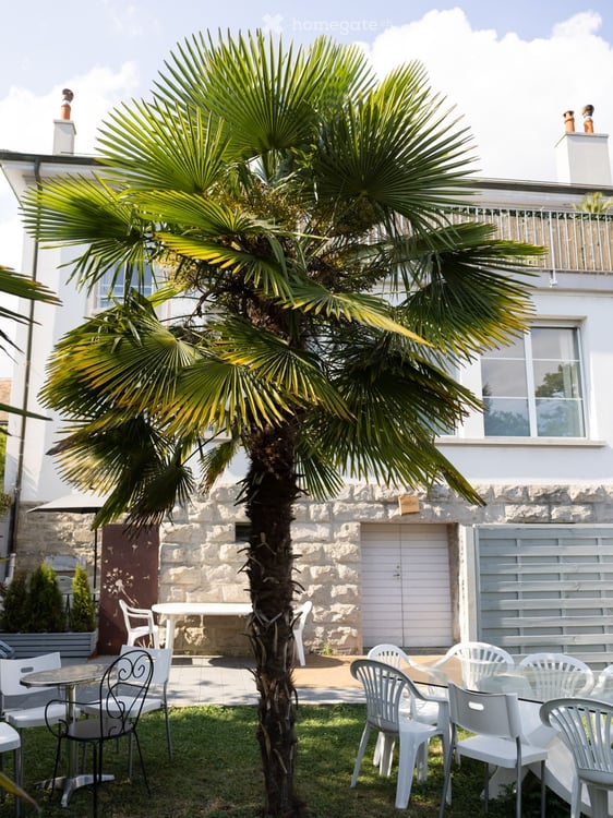 Majestueuse villa de 12 pièces à Morges – Avenue des Pâquis 11