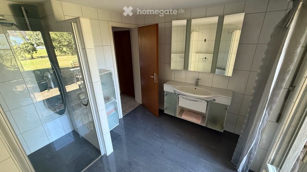 Charmantes 5.5-Zimmer-Einfamilienhaus an der Zinggenstrasse 15 in Widnau 24