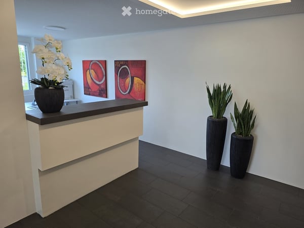 Schöne, modern ausgebaute Büroräumlichkeiten in Jonen AG 4