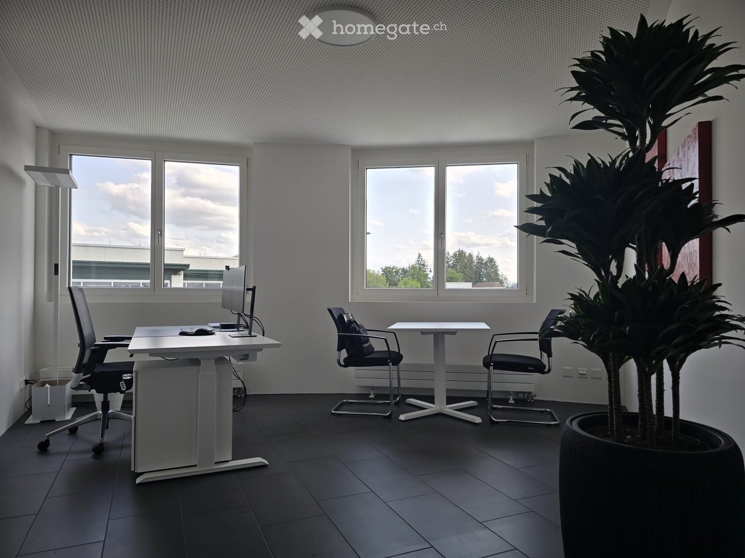 Modern office space with large windows, a desk with a computer, chairs, a small meeting table, and a large potted plant.
