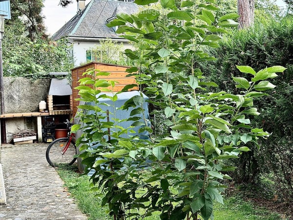 SPECTACULAIRE TRIPLEX DANS UNE MAISON DE VILLAGE AU COEUR DU PETIT-LANCY 4