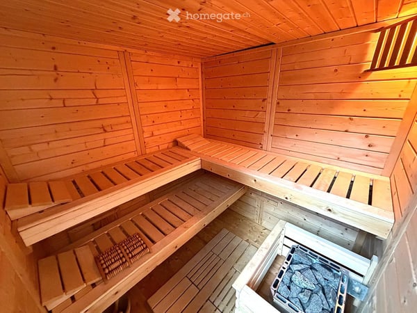 SPECTACULAIRE TRIPLEX DANS UNE MAISON DE VILLAGE AU COEUR DU PETIT-LANCY 27