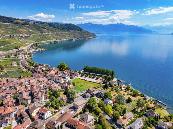 Maison individuelle à 200m du lac à Bourg-en-Lavaux - Cully - Une opportunité unique 14