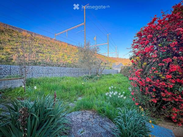 Maison individuelle à 200m du lac à Bourg-en-Lavaux - Cully - Une opportunité unique 8