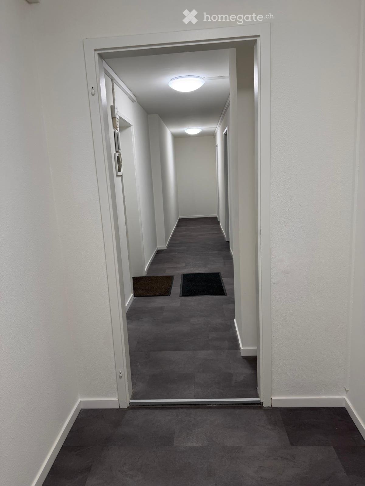 Empty hallway with white walls, gray carpeted floor, and recessed lighting. Two doors visible on the left side, with small rugs placed in front of them.