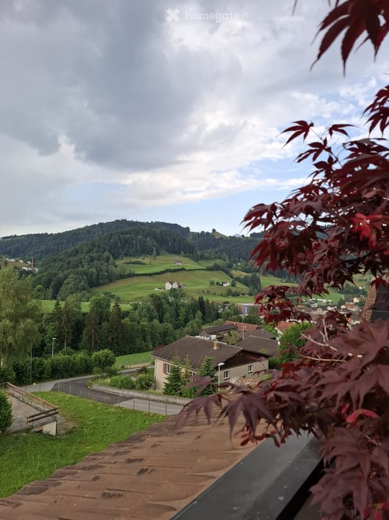 Sonnige 4.5-Zimmer-Terrassenwohnung mit Garage in Bühler AR 9