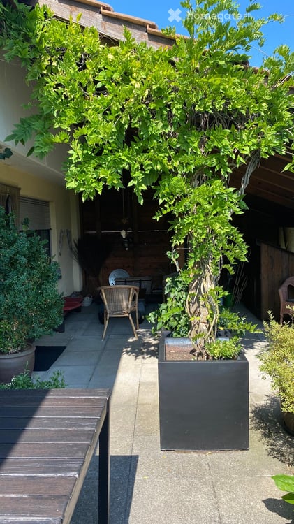 Sonnige 4.5-Zimmer-Terrassenwohnung mit Garage in Bühler AR 13
