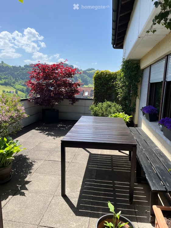 Sonnige 4.5-Zimmer-Terrassenwohnung mit Garage in Bühler AR