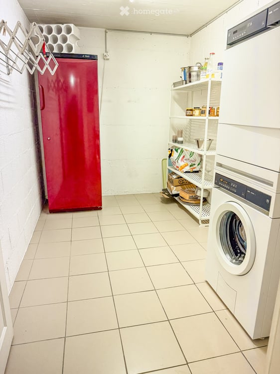 Duplex 5,5 pièces, 231 m² — séjour de 90 m², suite, garage 6 véhicules 23