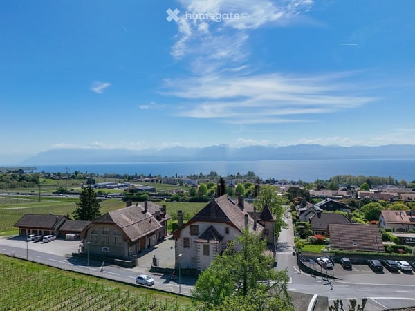 Duplex 5,5 pièces, 231 m² — séjour de 90 m², suite, garage 6 véhicules 17