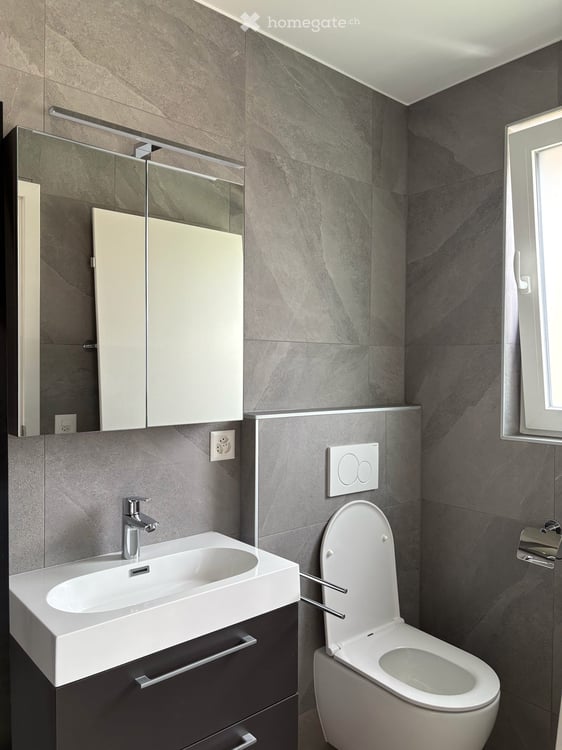 APPARTEMENT NEUF 3.5 pièces, en attique de 91 m2 à ARDON 8