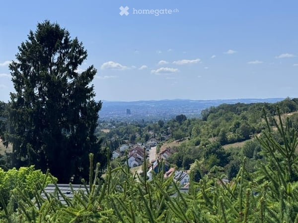 10 Minuten vor Basel: Sonnenlage mit Panoramablick 2