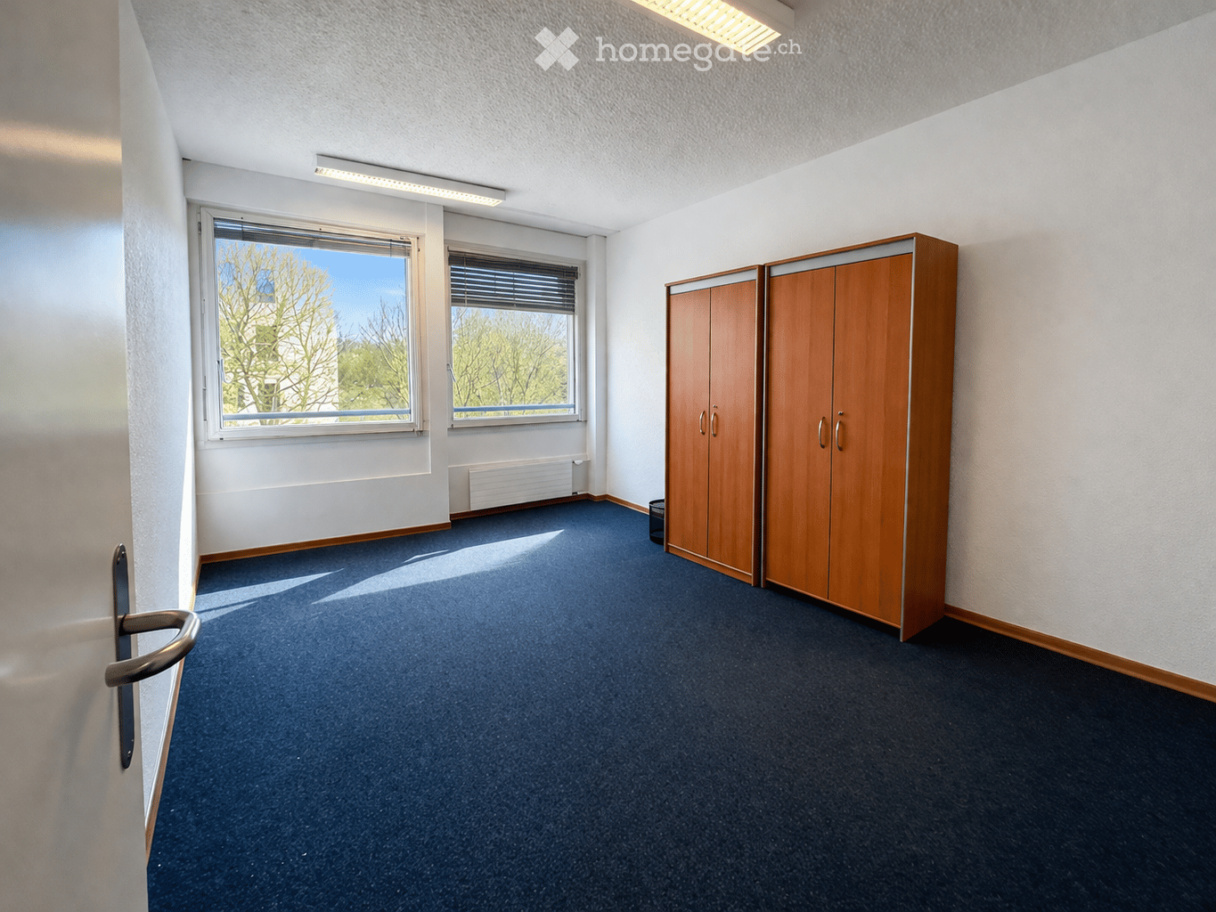 empty room, blue carpet, two windows, wooden wardrobe, white walls