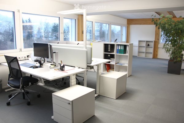 Attraktive Büroräumlichkeiten mit flexiblen Flächen in Malters zu vermieten 6
