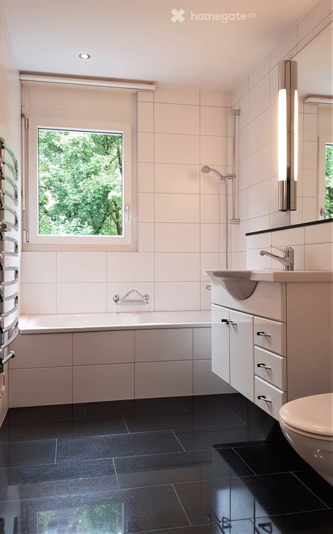 Charmante 3-Zimmer-Wohnung mit Balkon und See- und Bergblick in Luzern 10