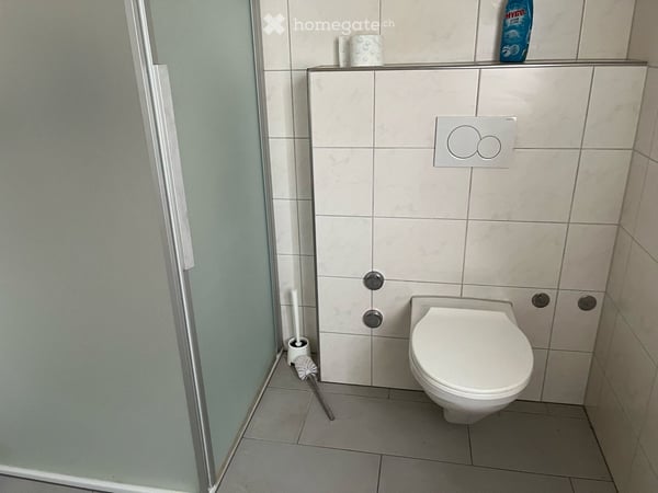 grosszügige 4.5 ZW EG/1.OG mit Garten in Hasle LU 17