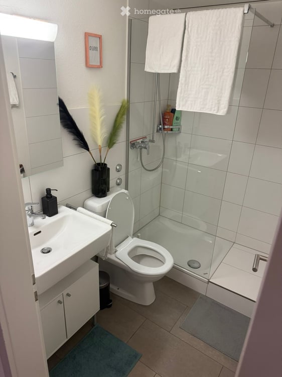 Möblierte 1.5-Zimmer-Wohnung an zentraler Lage in Luzern 5