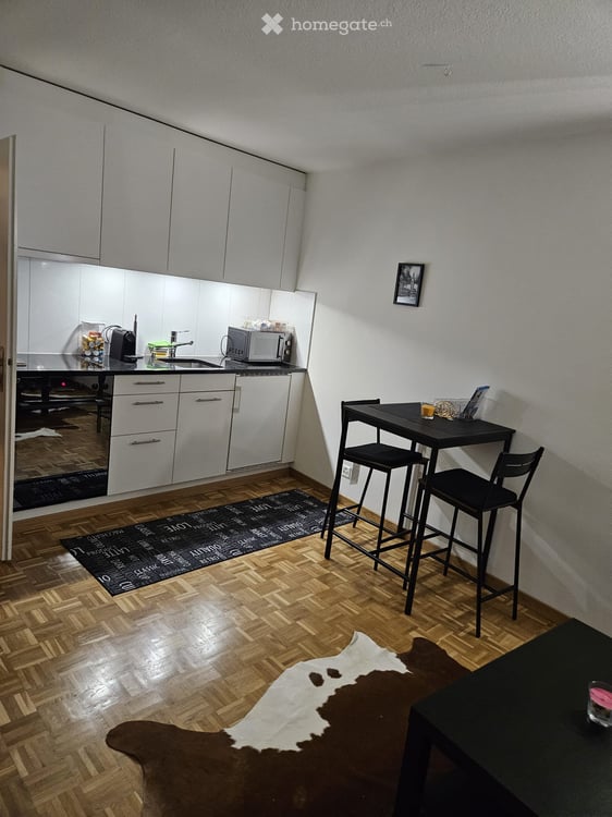 Möblierte 1.5-Zimmer-Wohnung an zentraler Lage in Luzern 4